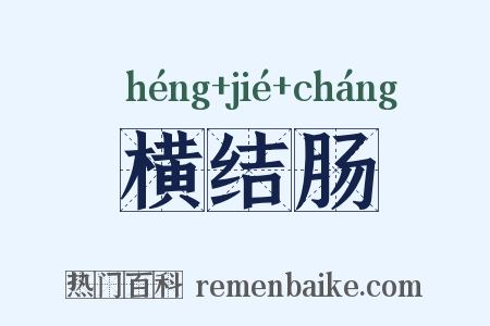 横结肠是什么意思的图片